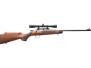 KSA CHIPMUNK 22LR GLSSY WLNT DLX