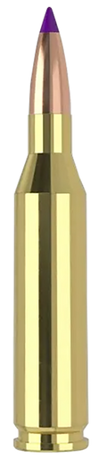 Nosler Ballistic Tip Rifle Ammunition 243 Win 70 gr. SP 20 rd.