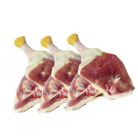 Duck Leg