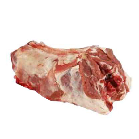 Baby Lamb Neck