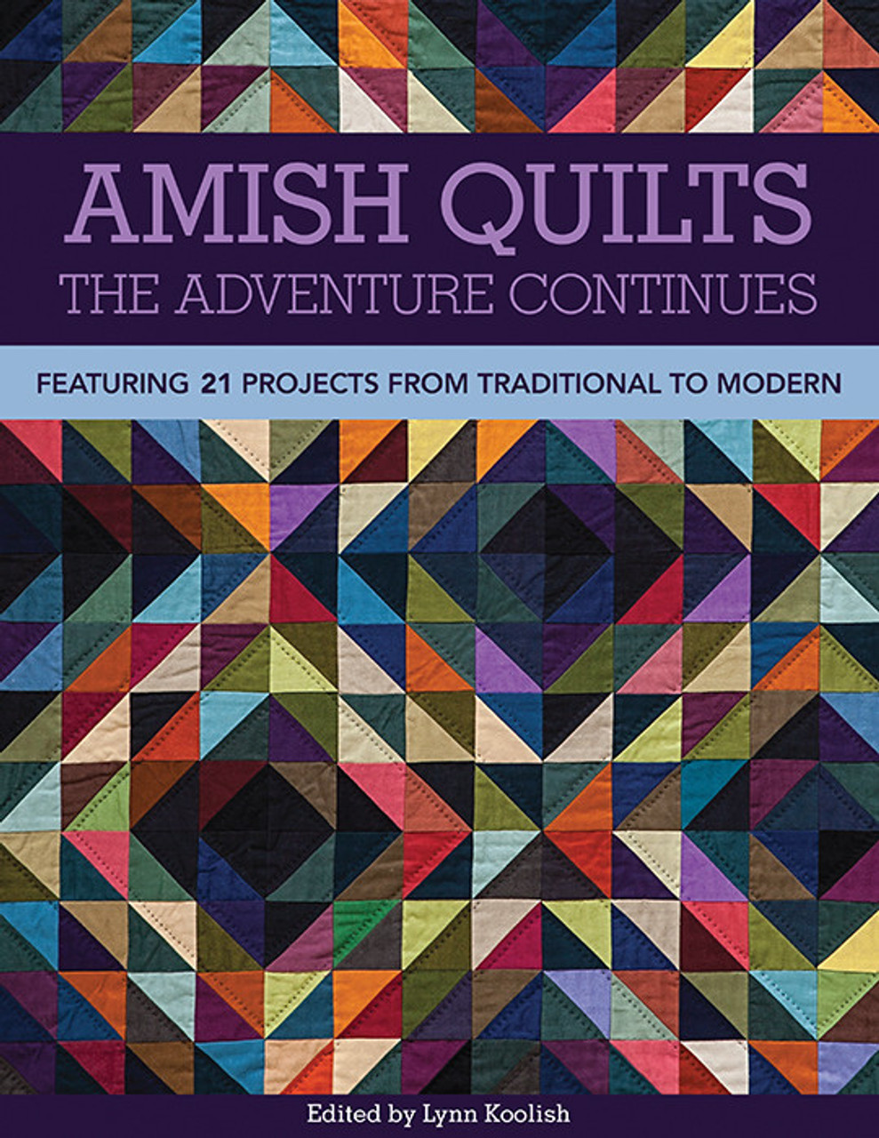 Amish Quilts - The Adventure Continues eBook: Featuring 21