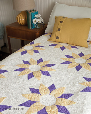 Beginner's Guide to Free-Motion Quilting: 50+ Visual Tutorials to Get ...