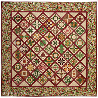 The Loyal Union Sampler from Elm Creek Quilts: 121 Traditional Blocks ...