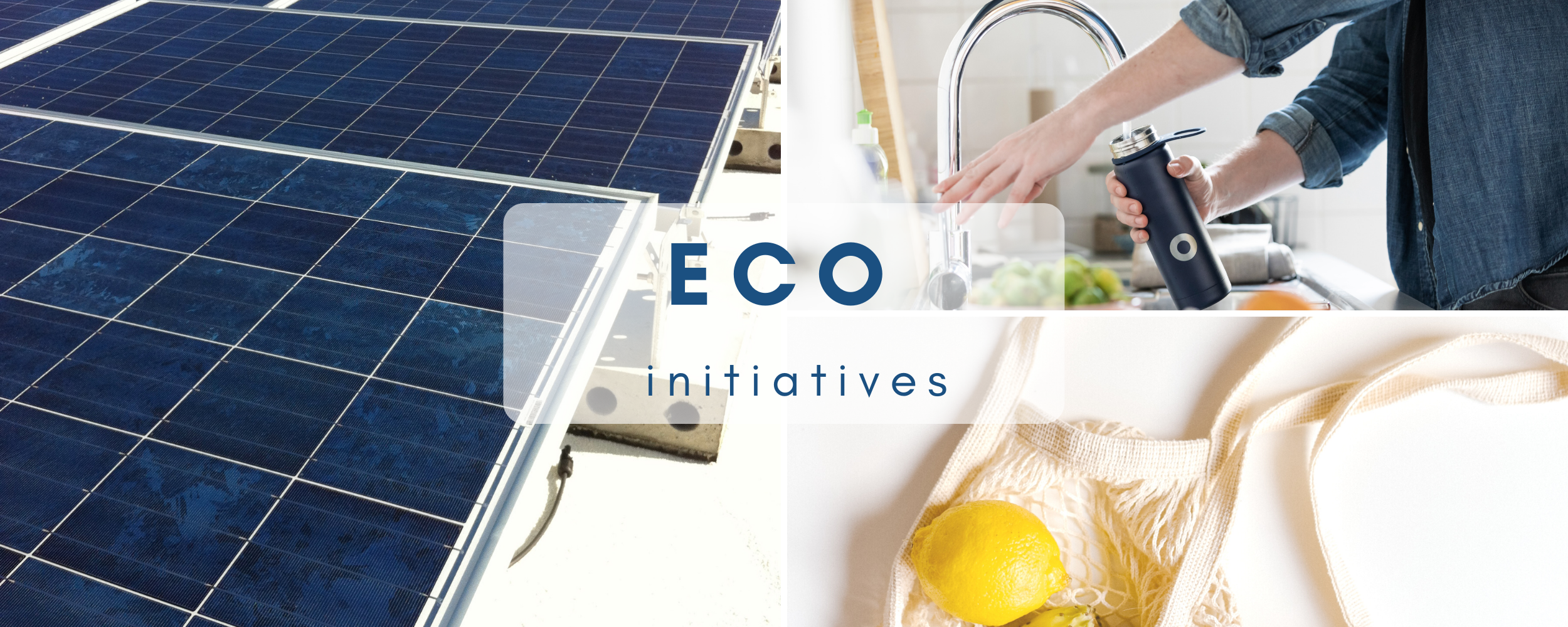 eco-initiative-banner-2-.png