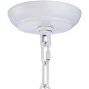 Natasha 001 Pendant Light