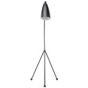 Grasshopper Modern Floor Lamp, Black