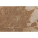 Fawn Framed Painting