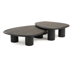 Salvo Modern Ash Coffee Table Set