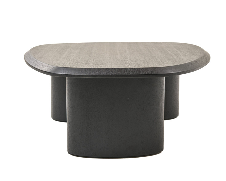 Salvo Modern Ash Coffee Table Set