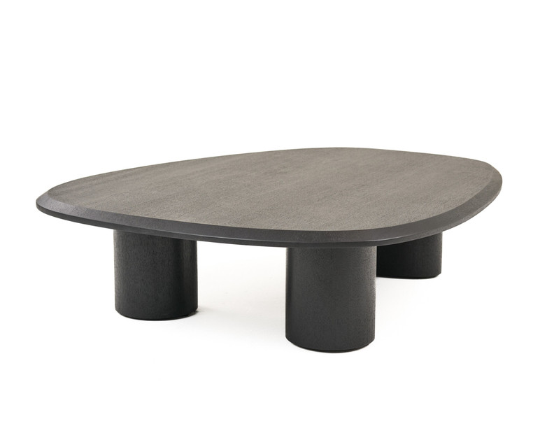 Salvo Modern Ash Coffee Table Set