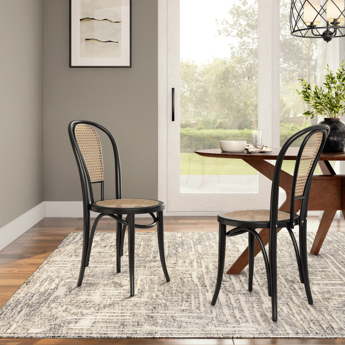 Dunn Side Chair - Set of 2