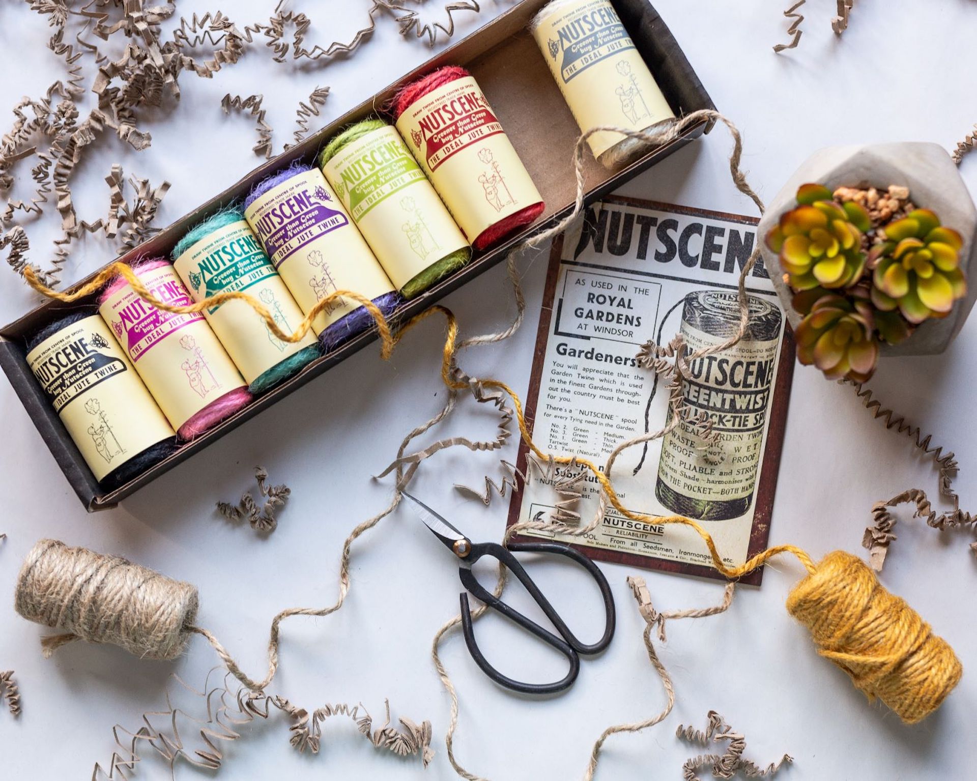 Natural Raffia For Gift Wrapping and Craft in a Profusion of NEW Colou –  Nutscene