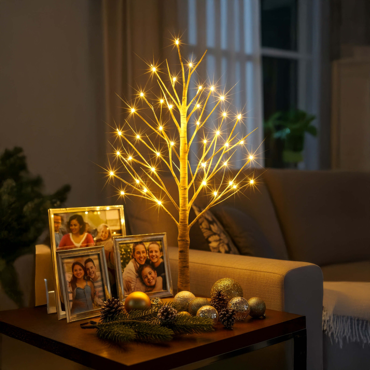 Enchanted Birch Tree