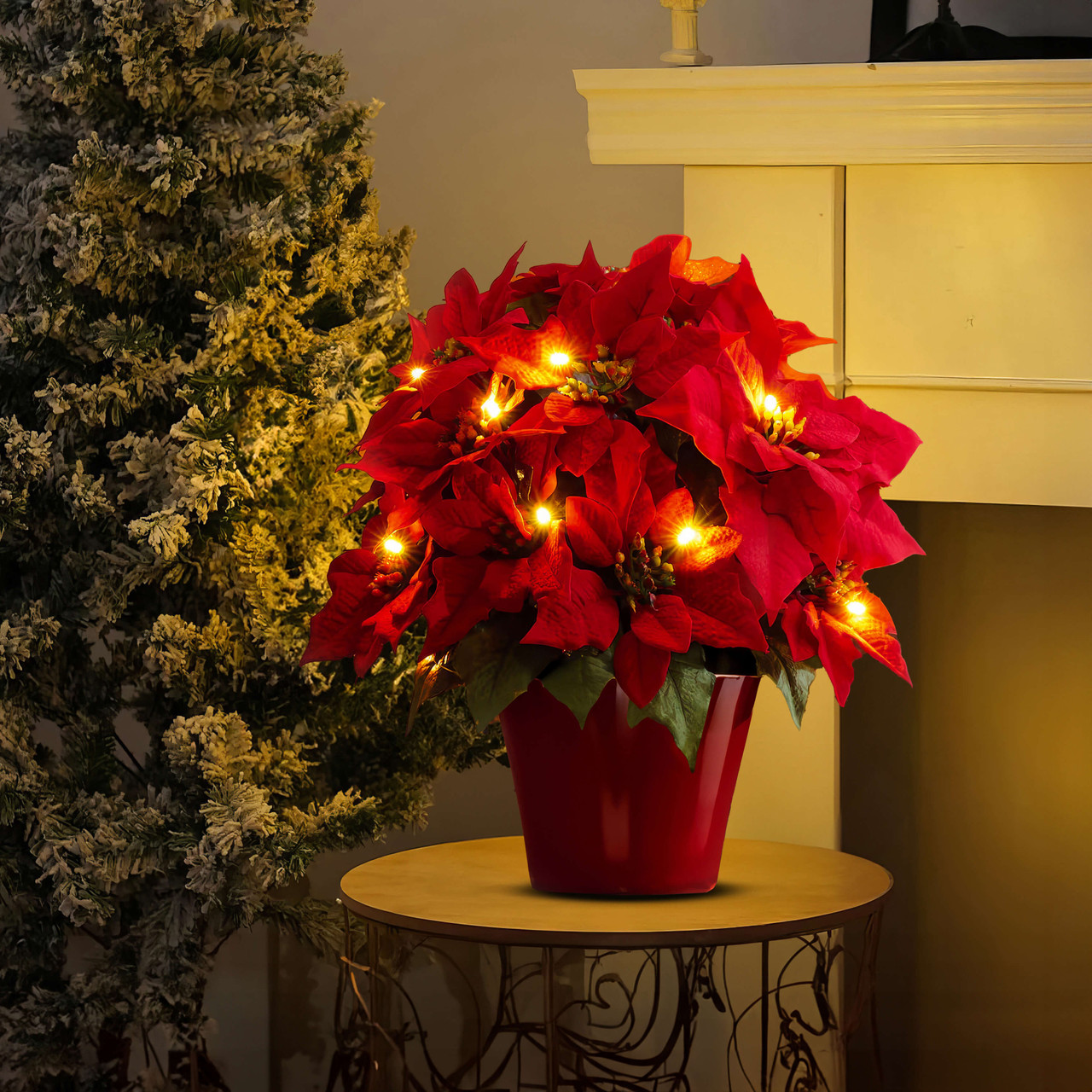 Radiant Ruby Poinsettia