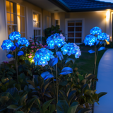 Fairy Hydrangea Lights