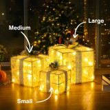 Golden Gleam Gift Box Set