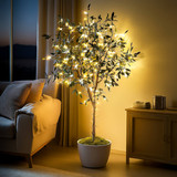 Olive Oasis Tree