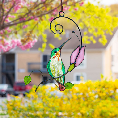 Haloed Hanging Hummingbird