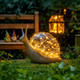 Sparkling Shell Snail Sparkling Shell Snail