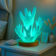 Coral Treasure Lamp Coral Treasure Lamp
