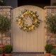 Enchanted Olive Wreath