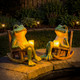 Glowing Garden Frog