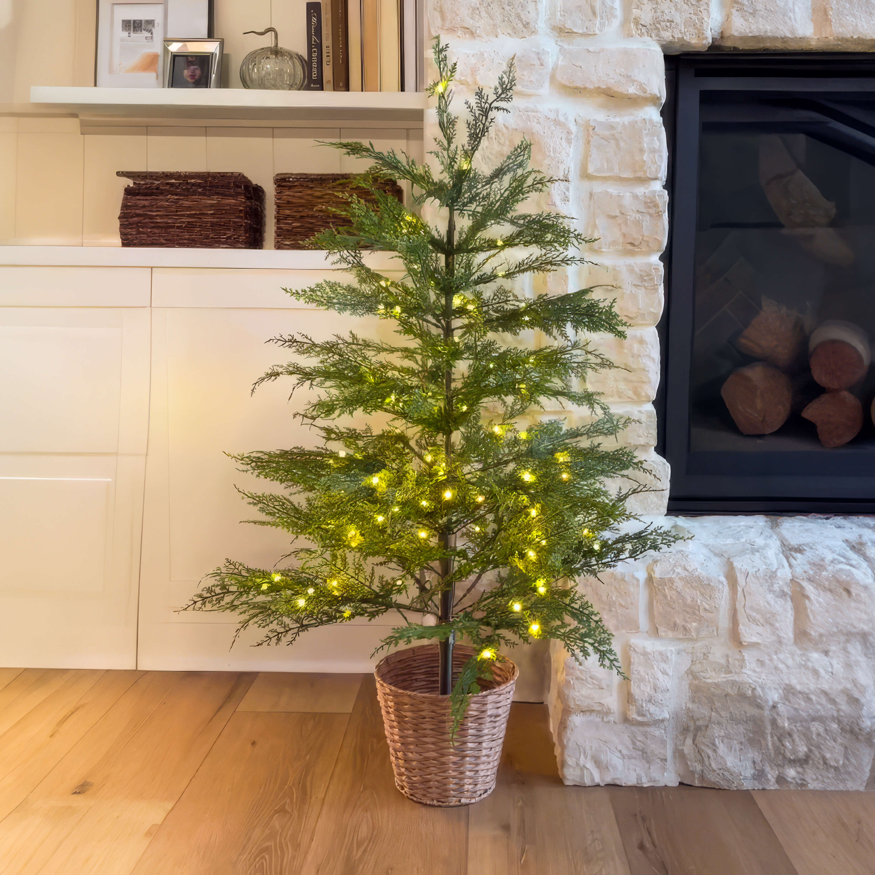 Enchanted Evergreen Tree Enchanted Evergreen Tree