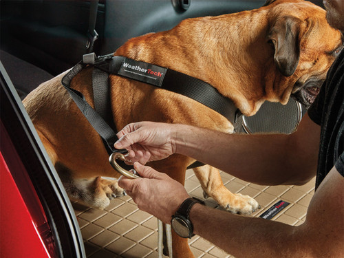 Pet Restraint Weathertech 84PH1318BK