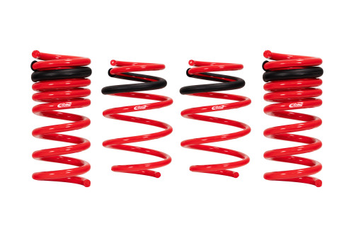 Coil Spring Lowering Kit Eibach Springs E20-40-036-01-22