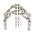 Drivetrain Kit Holley SE4-GM1F-LSX-A1