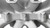 Engine Intake Manifold Holley 300-256