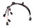 Ignition Harness Holley EFI 558-310