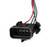 Distributor MSD 2384