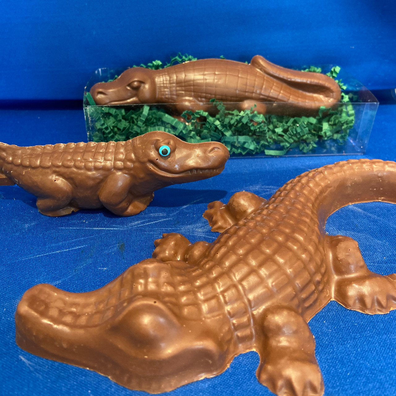Chocolate Alligator