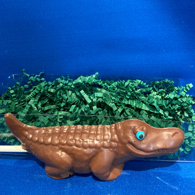 小物 Starlingear Chicago Candy Bar (Gator) Easter Gator – Southern Candymakers - (504) 523-5544