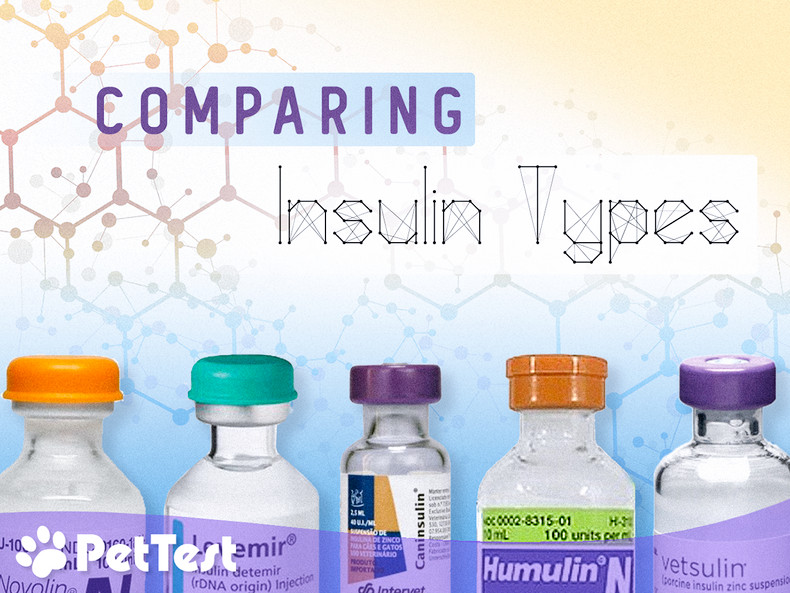 Comparing Insulin Types