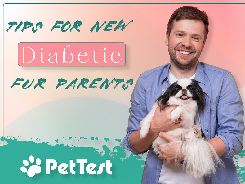 ​Tips for New Diabetic Fur Parents