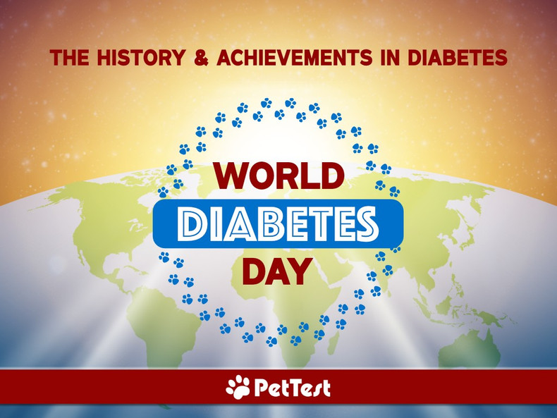 World Diabetes Day – The History and Achievements in Diabetes Mellitus