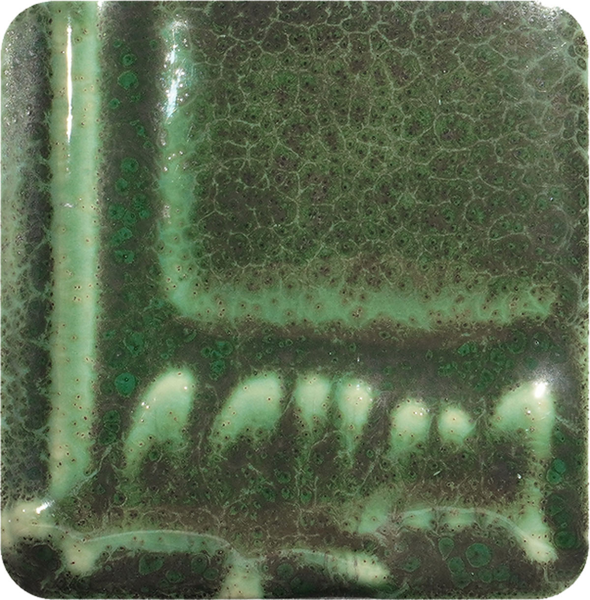 RG-2 Monstera