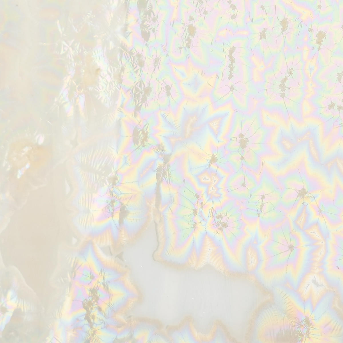 CO-6 Supernova - Stone Leaf Pottery