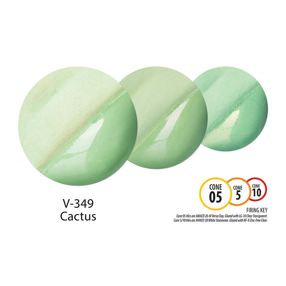 ヴィトワ ファンデーション V-349 Cactus Underglaze