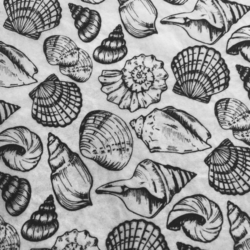 Shells