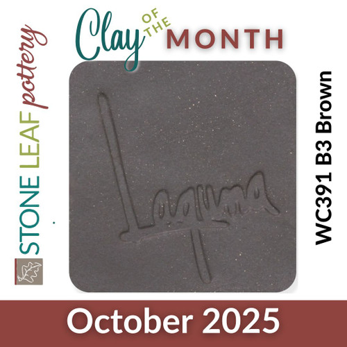 Clay of the Month WC391 B3 Brown by Laguna