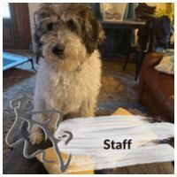 staff.jpg
