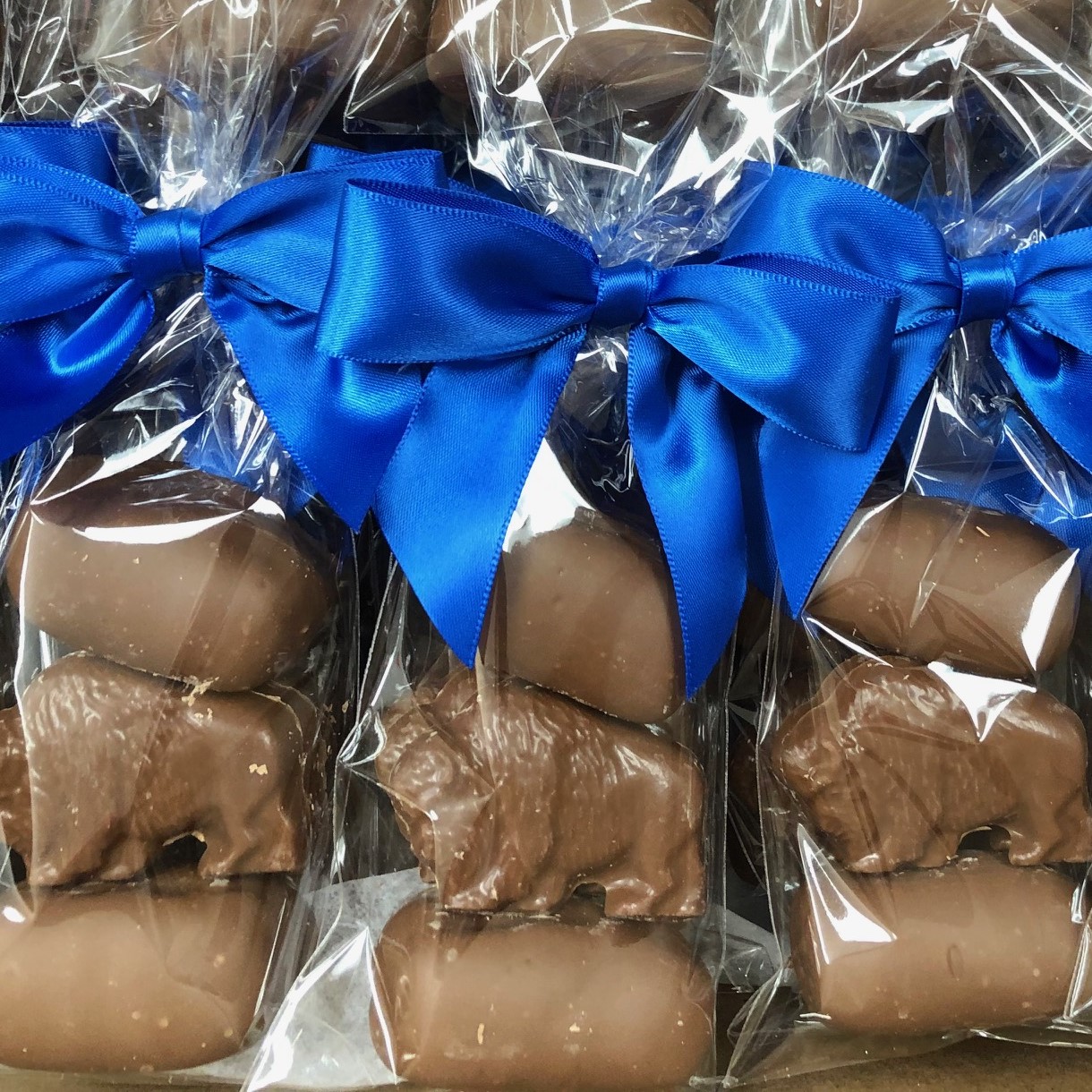 Buffalo Sponge Candy Favors