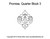Promise Quarter Block 3