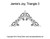 Jamie's Joy Triangle 3