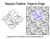 Naysas Feather Edge-to-Edge quilting pattern