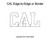 Janet Seiber CAL Edge-to-Edge or Border digital quilt pattern