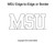 MSU edge to edge digital quilt design or border